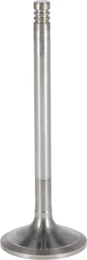 04290056 - Всасывающий клапан