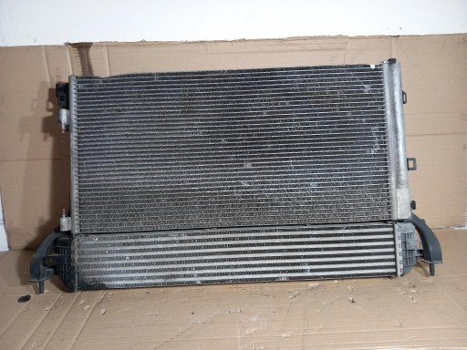 chladič vody ventilátor RENAULT LAGUNA III 2.0 DCI 214000003R 07-14