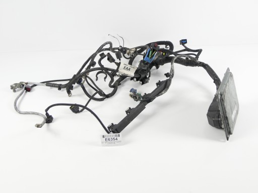 7M5T-12A690-BBD 7M51-12A650-AFC - Электроустановка жгута проводов, компьютер двигателя ford focus mk2 04-11 1.6 16v