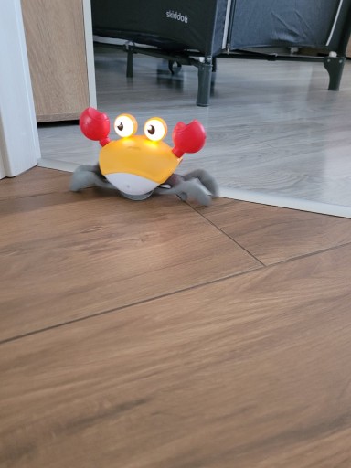 Felhasználó által feltöltött kép