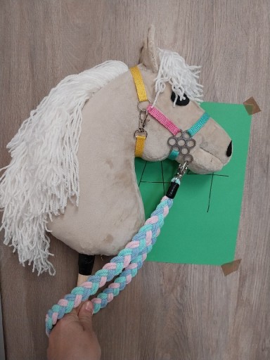 Хобі кінь на палиці