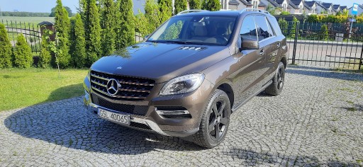 ML350 SALON ПОЛЬША, СЕРВИС ASO, СОСТОЯНИЕ TECH. BDB изображение 1