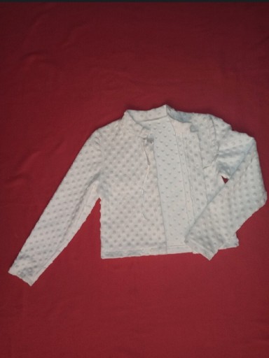 Хутряний светр