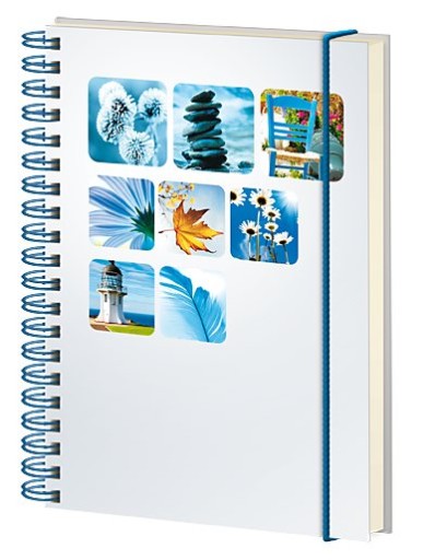 Notes A6 Zebra wielokolorowy