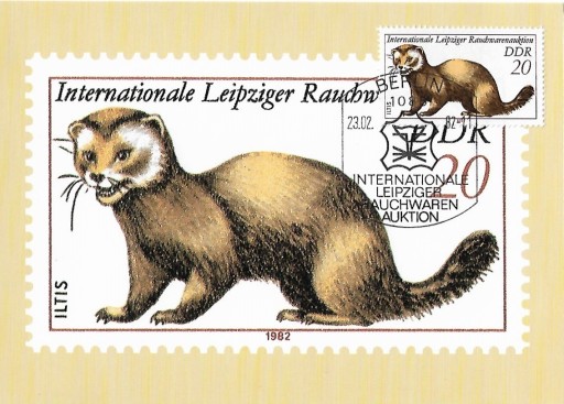 Zdjęcie oferty: Kartka Maksimum - Niemcy 1982 Mi: DD MK2678