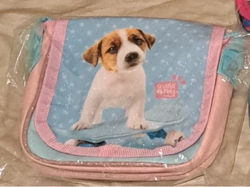 Zdjęcie oferty: Torebka mini na ramię