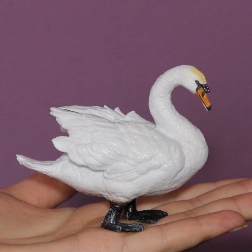 Łabędź niemy M