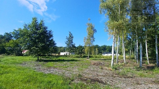 Zdjęcie oferty: Działka, Rusiec, Nadarzyn (gm.), 1851 m²