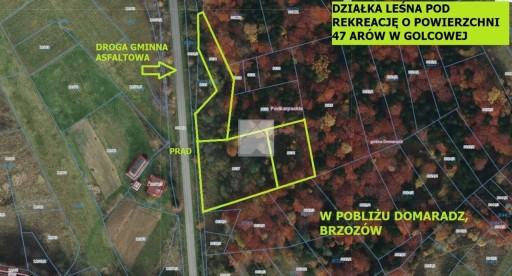 Zdjęcie oferty: Działka, Golcowa, Domaradz (gm.), 4700 m²