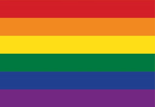 GRAFIKA Puzzle Pride Edition 1000 elementów