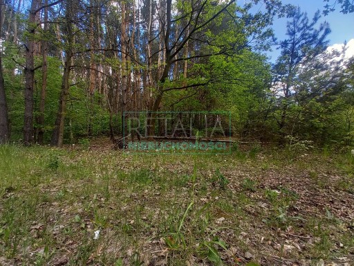 Zdjęcie oferty: Działka, Nadarzyn, Nadarzyn (gm.), 1768 m²