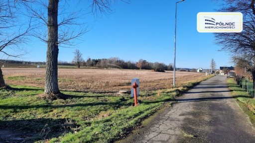 Zdjęcie oferty: Działka, Żeliszów, 1331 m²