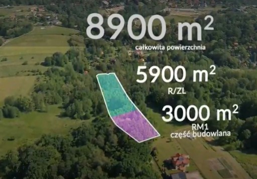 Zdjęcie oferty: Działka, Brzyczyna, Mogilany (gm.), 8900 m²