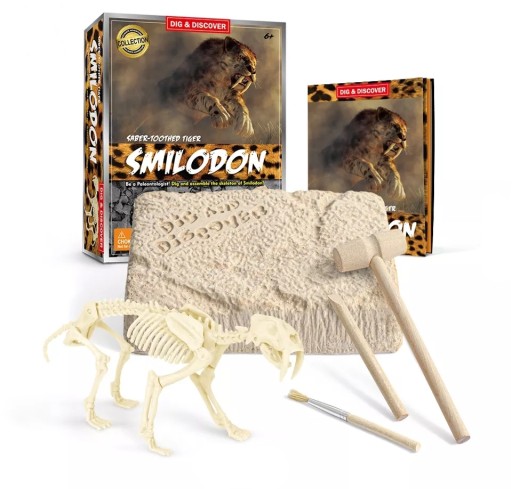 SMILODON DINOZAUR WYKOPALISKO Kreatywna zabawka 3D