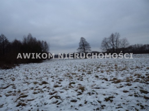 Zdjęcie oferty: Działka, Żelechów, 2000 m²