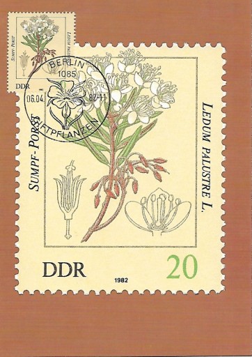 Zdjęcie oferty: Kartka Maksimum - Niemcy 1982 Mi: DD MK2693