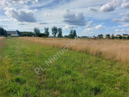 Zdjęcie oferty: Działka, Emilianów, 1183 m²