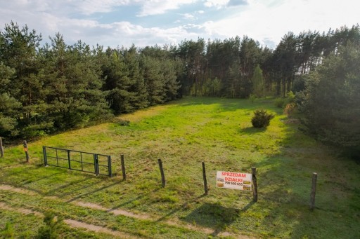 Zdjęcie oferty: Działka, Faryny, Rozogi (gm.), 3000 m²