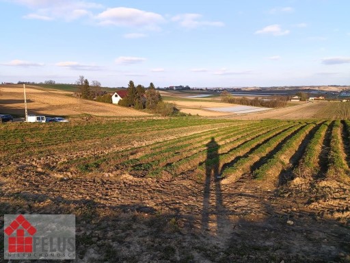 Zdjęcie oferty: Działka, Siedliska, Koszyce (gm.), 1000 m²