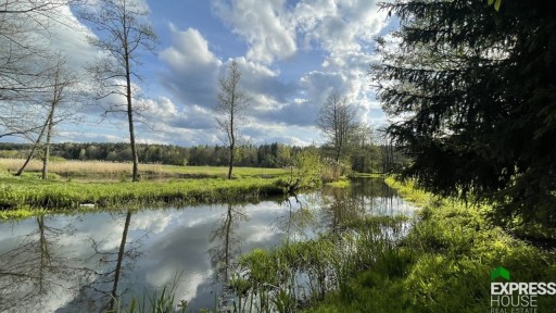 Zdjęcie oferty: Działka, Międzyrzecze, 4900 m²