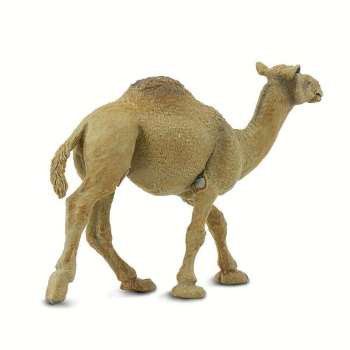 Figurka wielbłąd Safari Ltd. Wildlife Wielbłąd 3 lata +