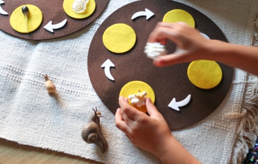 Mata cykl życia Montessori 5 elementów