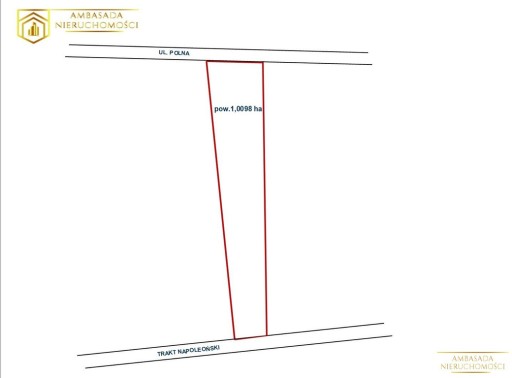 Zdjęcie oferty: Działka, Niewodnica Kościelna, 10098 m²