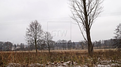 Zdjęcie oferty: Działka, Grójec, Grójec, Grójecki, 6927 m²