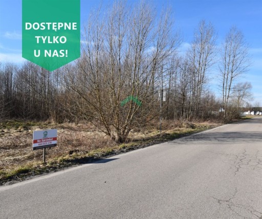 Zdjęcie oferty: Działka, Dylów A, Pajęczno (gm.), 1574 m²