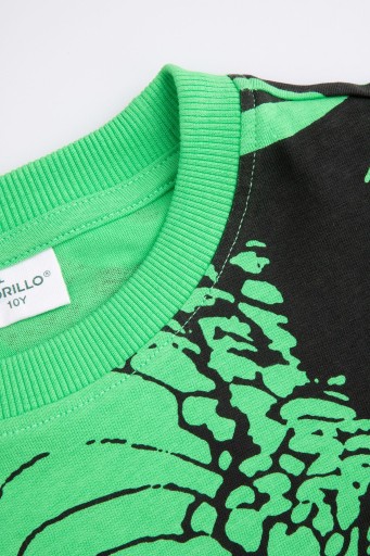 T-Shirt Chłopięcy Kolorowy Koszulka na Krótki Rękaw 164 Coccodrillo WC5