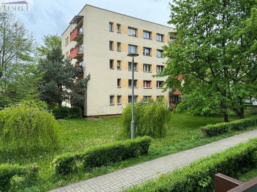 Zdjęcie oferty: Mieszkanie, Chorzów, Centrum, 48 m²