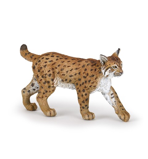 RYŚ - Lynx - PAPO - 50241