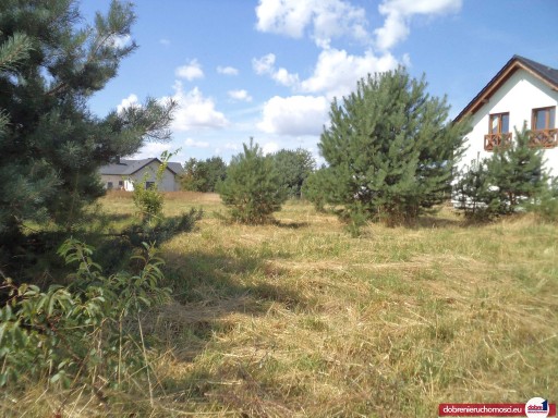 Zdjęcie oferty: Działka, Łochowo, 899 m²