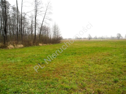 Zdjęcie oferty: Działka, Nowodwór, 10400 m²