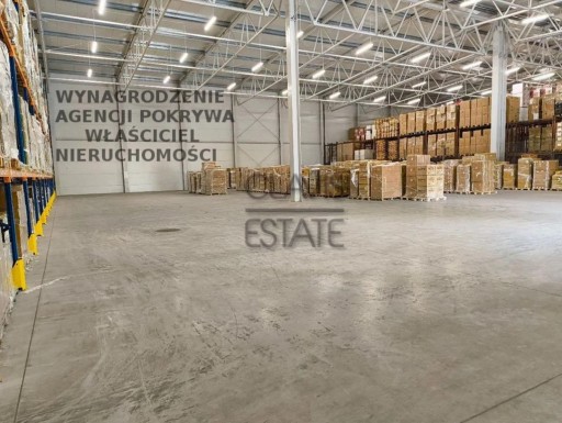 Zdjęcie oferty: Magazyny i hale, Piaseczno, 3737 m²
