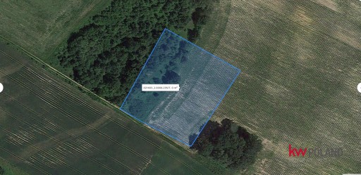 Zdjęcie oferty: Działka, Łuczyna, 5831 m²