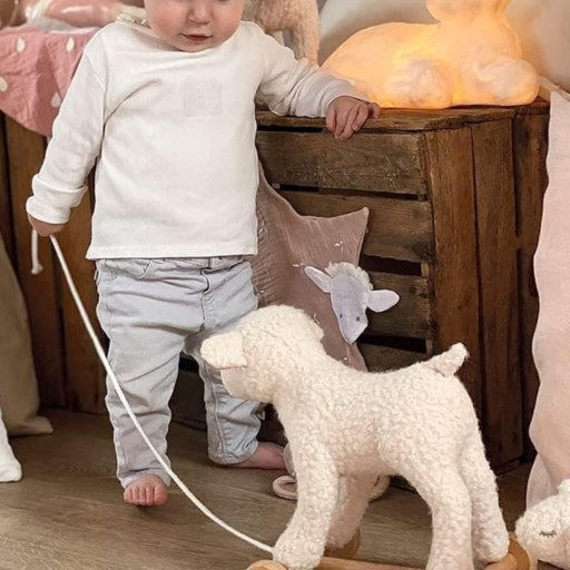 Wełniana owieczka do ciągnięcia Egmont Toys Mary