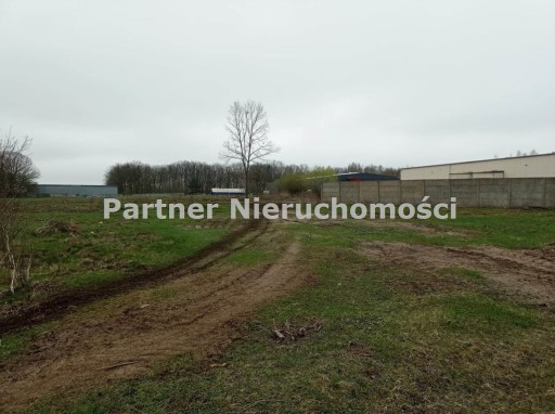 Zdjęcie oferty: Działka, Lubicz Dolny, 4600 m²