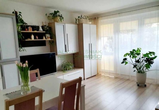 Zdjęcie oferty: Mieszkanie, Nowy Sącz, 60 m²