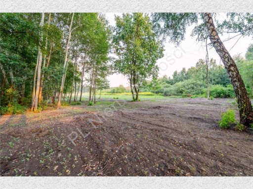 Zdjęcie oferty: Działka, Komorów, 1672 m²