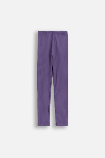 Legginsy Dziewczęce Getry Dziecięce Długie w Prążek 128 Coccodrillo WC6