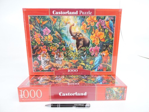 Puzzle Castorland 1000 elementów Puzzle 1000