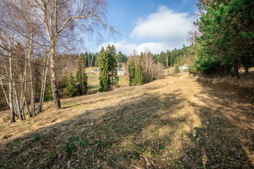 Zdjęcie oferty: Działka, Nowy Targ, 1850 m²