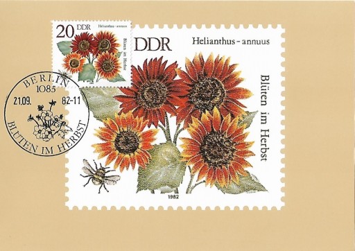 Zdjęcie oferty: Kartka Maksimum - Niemcy 1982 Mi: DD MK2740