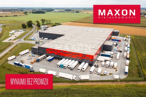 Zdjęcie oferty: Magazyny i hale, Gniezno, 9940 m²