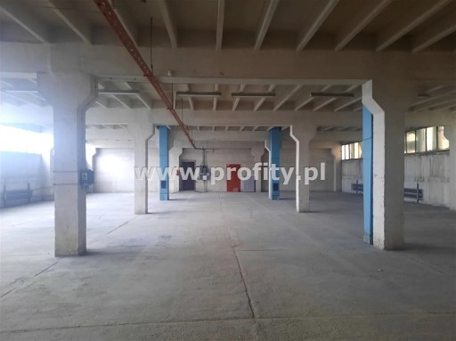 Zdjęcie oferty: Magazyny i hale, Tychy, 456 m²