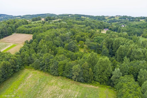 Zdjęcie oferty: Działka, Buchcice, Tuchów (gm.), 5600 m²