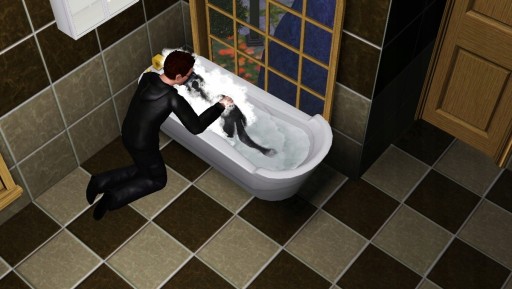The Sims 3: Zwierzaki PC