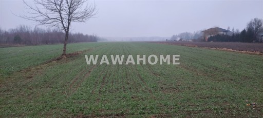 Zdjęcie oferty: Działka, Jachranka, Serock (gm.), 14570 m²