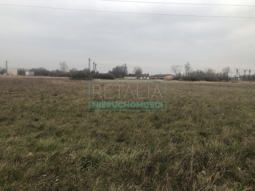 Zdjęcie oferty: Działka, Grodzisk Mazowiecki, 6521 m²